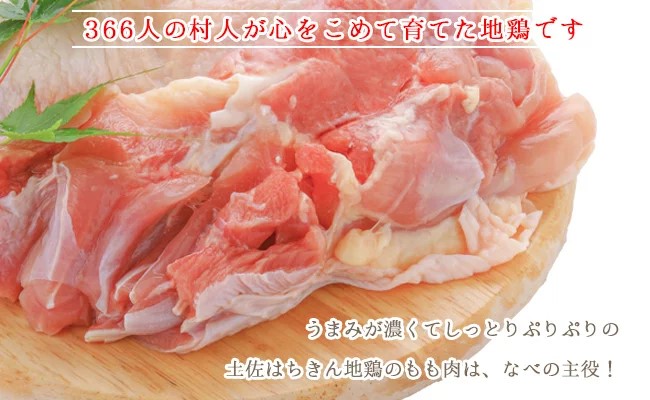 土佐はちきん地鶏 鍋セット（もも肉150g×2 むね肉100g×2 つくね200g ポン酢200ml スープ500ml 塩30g）地鶏 鍋 なべ モモ肉 ムネ肉 胸肉 鶏肉 とり肉 とりにく 肉 高知県 大川村 F6R-080