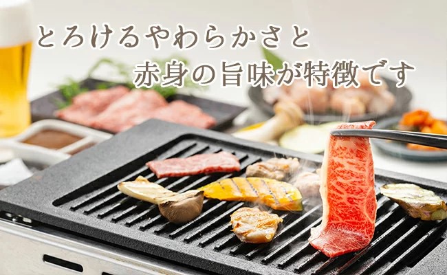 大川村謝肉祭セット（土佐はちきん地鶏700g 大川黒牛200g 大川村謝肉祭のたれ400g 塩30g ポン酢200ml）期間限定 地鶏 詰合せ もも肉 モモ むね肉 ムネ 胸肉 鶏肉 とり肉 とりにく 肉 高知県 大川村 F6R-082