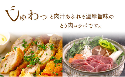 ã倧巿ãšèžè¥¿æã®å
±éè¿ç€Œåãã¯ã¡ããå°é¶ ããè 1kgïŒåäœéŽš 鎚éèïŒ2ïœ3人åïŒã»ãã å°é¶ ã¢ã¢è é¶è 鎚 鎚è ããè ãšãè ãšãã«ã è é«ç¥ç 倧巿 F6R-012