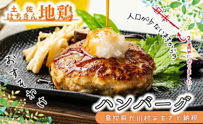 土佐はちきん地鶏ハンバーグセット（150g×8個+はちきん地鶏 ポン酢200ml）ハンバーグ 加工品 地鶏 鶏肉 とり肉 とりにく 肉 高知県 大川村 F6R-079