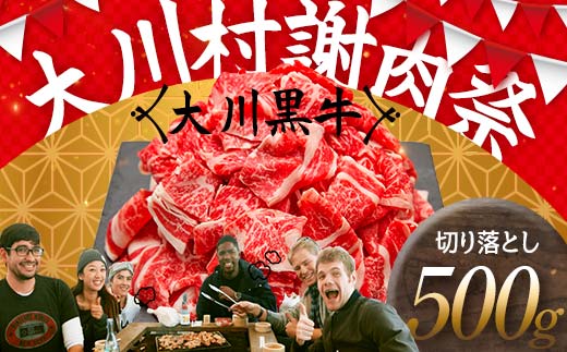 国産黒毛和牛 大川黒牛 切り落とし A4（250g×2パック） 国産 黒毛和牛 A4 切り落とし 牛肉 牛 ビーフ 肉 食品 高知県 大川村 F6R-020