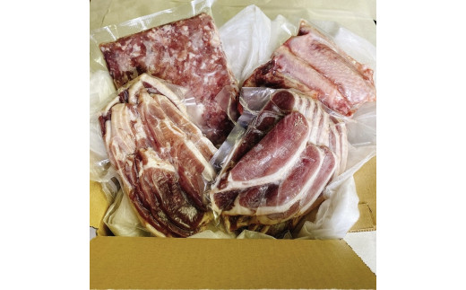 【大川村と芸西村の共通返礼品】はちきん地鶏 まるごと一羽おためしセット 約1kg＆土佐鴨 鴨鍋肉（2〜3人前）セット 地鶏 もも肉 むね肉 ささみ 手羽先 手羽元 鶏肉 鴨 鴨肉 高知県 大川村 F6R-126 