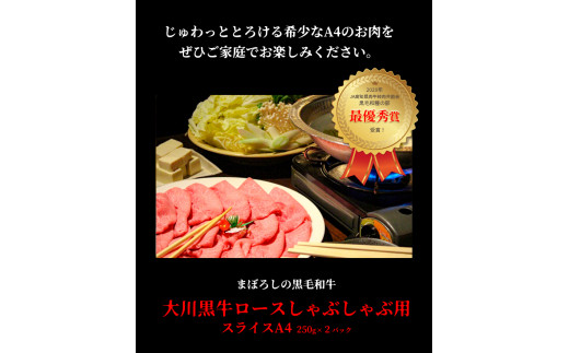 国産黒毛和牛 大川黒牛 ロース しゃぶしゃぶ用 スライス A4（250g×2パック） 国産 黒毛和牛 A4 ロース 牛肉 しゃぶしゃぶ 牛しゃぶ 鍋 牛 ビーフ 肉 食品 高知県 大川村 F6R-023