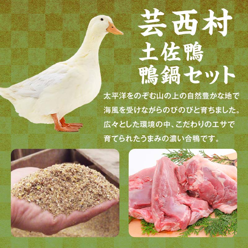 ãã»ããå®æäŸ¿ãã倧巿ãšèžè¥¿æã®å
±éè¿ç€Œåã倧å·é»çãªãããŒã¹çŒèçšA4ïŒåäœéŽšéŽšéã»ãã 2ïœ3äººçš å€§å·é»ç ãªãããŒã¹ çŒèçš A4ã©ã³ã¯ F6R-105