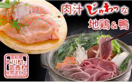 【大川村と芸西村の共通返礼品】はちきん地鶏 むね肉 1kg＆土佐鴨 鴨鍋肉（2～3人前）セット 地鶏 ムネ肉 胸肉 鶏肉 鴨 鴨肉 かも肉 とり肉 とりにく 肉 高知県 大川村 F6R-013