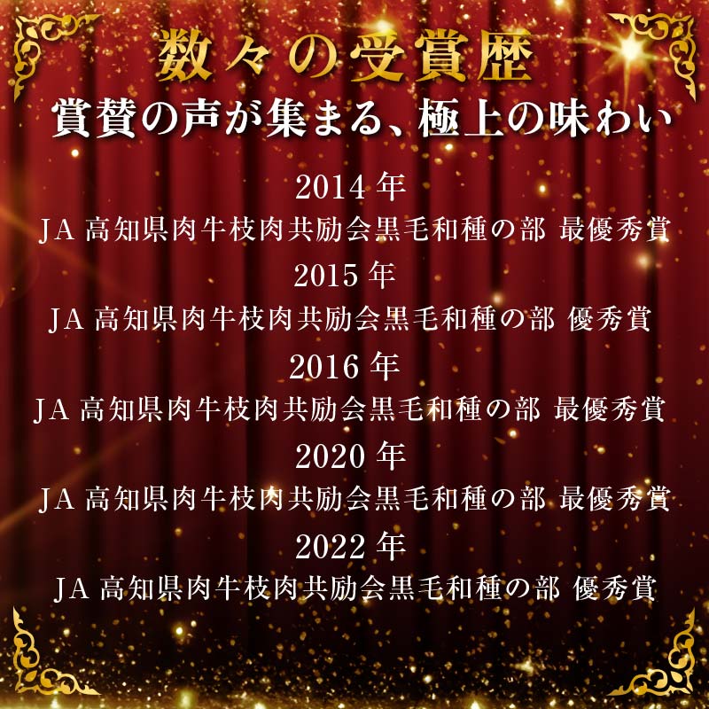 国産黒毛和牛 大川黒牛 ロース しゃぶしゃぶ用 スライス A4（250g×2パック） 国産 黒毛和牛 A4 ロース 牛肉 しゃぶしゃぶ 牛しゃぶ 鍋 牛 ビーフ 肉 食品 高知県 大川村 F6R-023