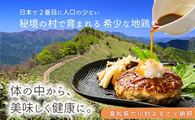 土佐はちきん地鶏ハンバーグセット（150g×8個+はちきん地鶏 ポン酢200ml）ハンバーグ 加工品 地鶏 鶏肉 とり肉 とりにく 肉 高知県 大川村 F6R-079