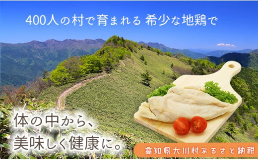 サラダはちきん 750g（150g×5個） サラダチキン 土佐はちきん地鶏 地鶏 ぢどり じどり 鶏肉 とり肉 チキン蒸し鶏 むね肉 胸肉 国産 高知県産 惣菜 レトルト 調理済み インスタント 高知県 大川村 F6R-036