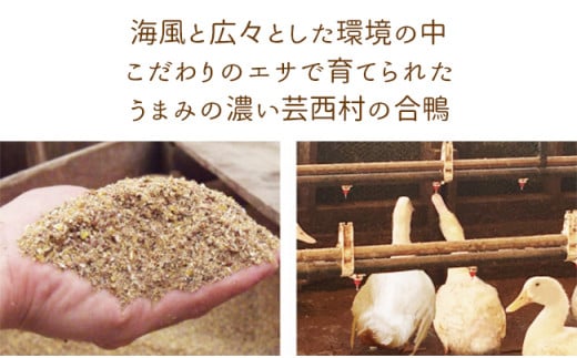 【大川村と芸西村の共通返礼品】はちきん地鶏 まるごと一羽おためしセット 約1kg＆土佐鴨 鴨鍋肉（2〜3人前）セット 地鶏 もも肉 むね肉 ささみ 手羽先 手羽元 鶏肉 鴨 鴨肉 高知県 大川村 F6R-126 