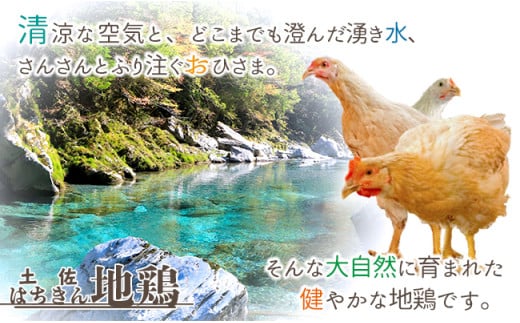 サラダはちきん 750g（150g×5個） サラダチキン 土佐はちきん地鶏 地鶏 ぢどり じどり 鶏肉 とり肉 チキン蒸し鶏 むね肉 胸肉 国産 高知県産 惣菜 レトルト 調理済み インスタント 高知県 大川村 F6R-036