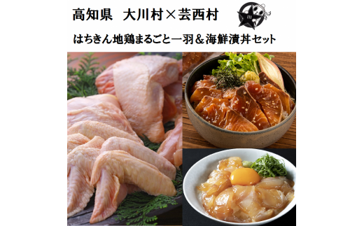 【大川村と芸西村の共通返礼品】はちきん地鶏まるごと一羽おためしセット 約1kg＆海鮮漬丼の素セット