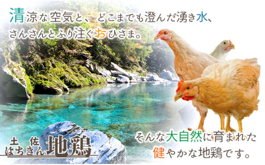 大川村土佐はちきん地鶏むね肉 １kg ×２ヶ月