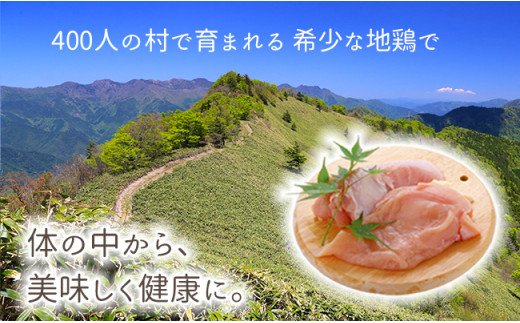 【大川村と芸西村の共通返礼品】はちきん地鶏ムネ肉 1kg＆海鮮漬丼の素セット
