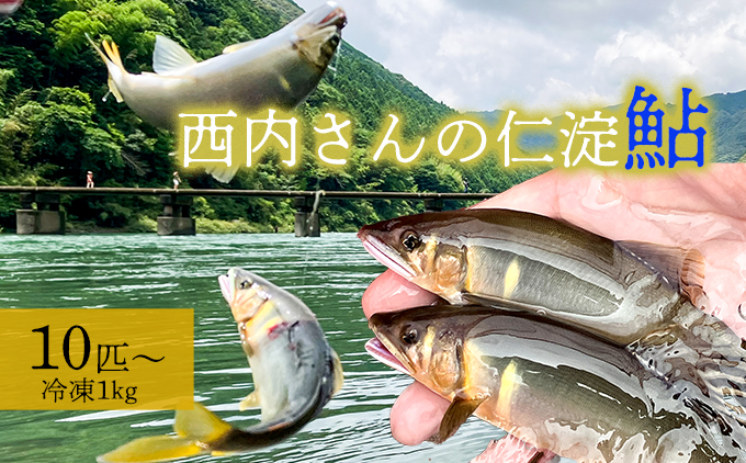鮮度にこだわり！仁淀鮎★5尾～(冷凍500g) ★