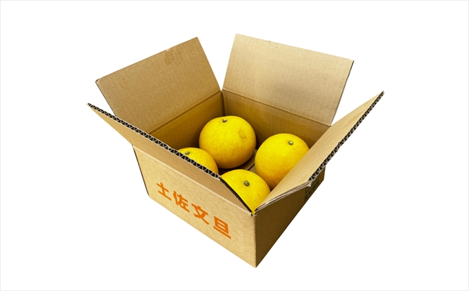 土佐文旦　家庭用3kg（池上果樹園）