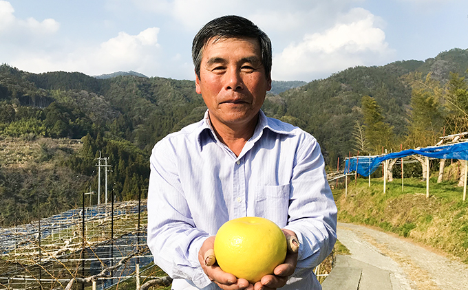 土佐文旦贈答用約3ｋｇ（高知ふるさと農園）　