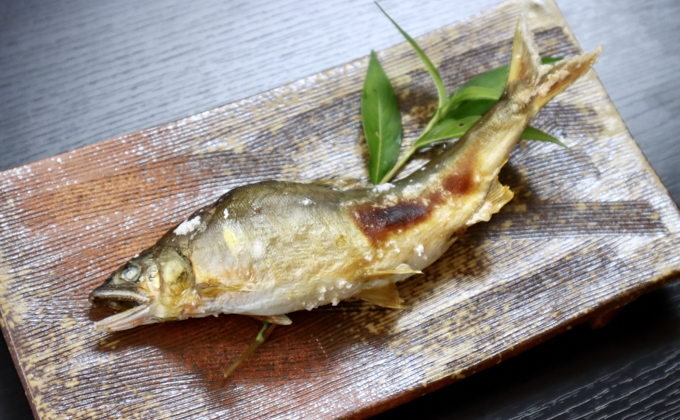 【6月から9月の発送】仁淀川の天然鮎（4匹～8匹）★冷蔵