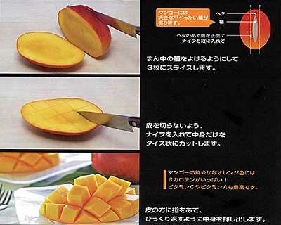 かおる・とろける！土佐マンゴー10個