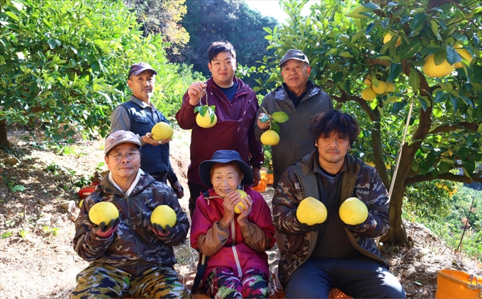 香る！さっぱり！岡林さんの土佐文旦　家庭用5kg