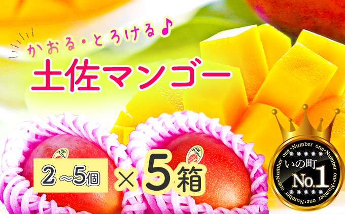 かおる・とろける！土佐マンゴー(2〜5個)×５箱