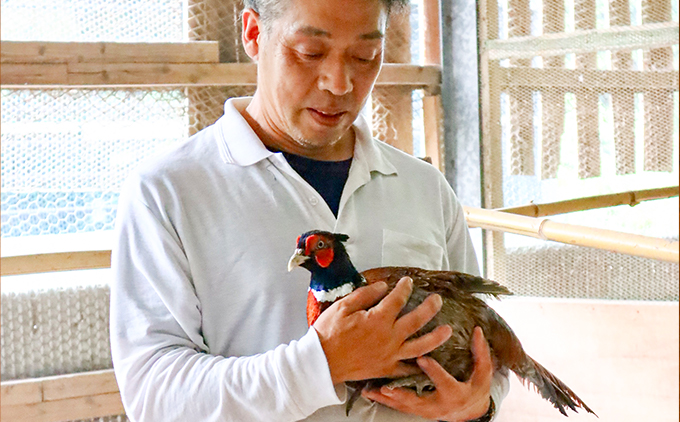 【きじ肉】土佐・本川 手箱