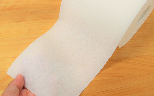 １０年間保証　備蓄用トイレットペーパー（１２ロール）防災 災害 緊急 安心 簡易 備蓄