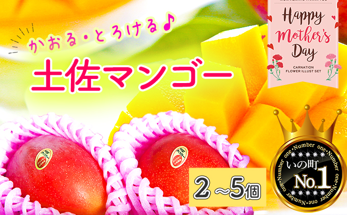 【母の日にお届け】かおる・とろける！土佐マンゴー(2〜5個)