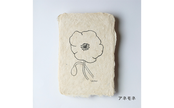 ãå¥è¯èãåäœåçŽã«ãŒãïŒæçŽå°çã»ããïŒãã¿ãã«ã« / ã¢ãœãŒãïŒçš®ïŒ