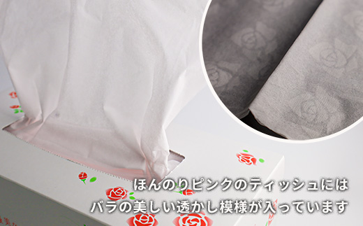 ãè³çŠã®ãã©ã·ãªãŒãºããšã«ãã©ïŒé»ãã©ïŒãšã«ãã©ãã©BOX