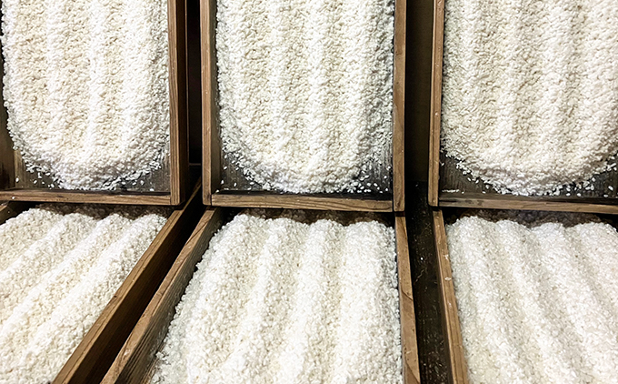 縺薙ョ繧隘ソ蜀邉蠎励邀ウ縺薙≧縺假シ500gテ3陲具シ