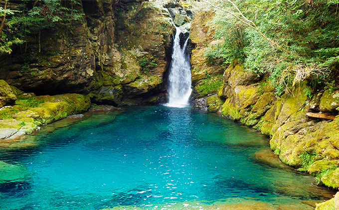 縺ォ縺捺キオ 繝悶Ξ繝ウ繝峨さ繝シ繝偵シ 5陲凝8邂ア