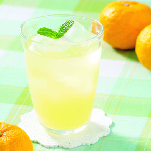 高知アイスの無添加ゆずドリンク「希釈用」1L×2本