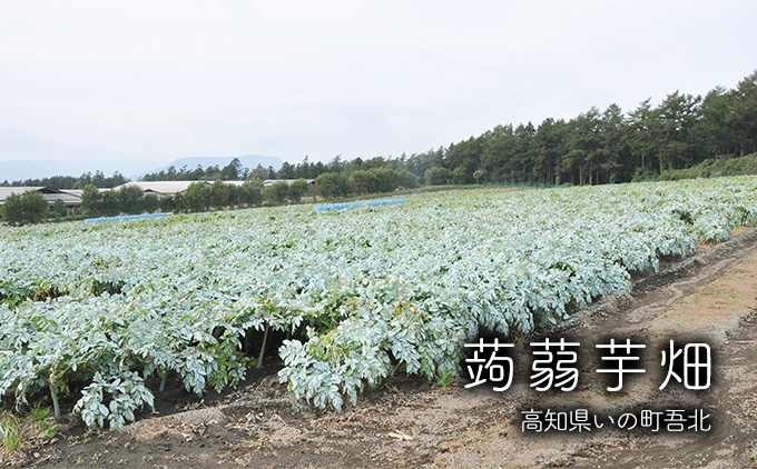 çèãŸãããšâ
ã°ãã®å³ïŒãã®çºç£çèäžžããã«ããïŒå)