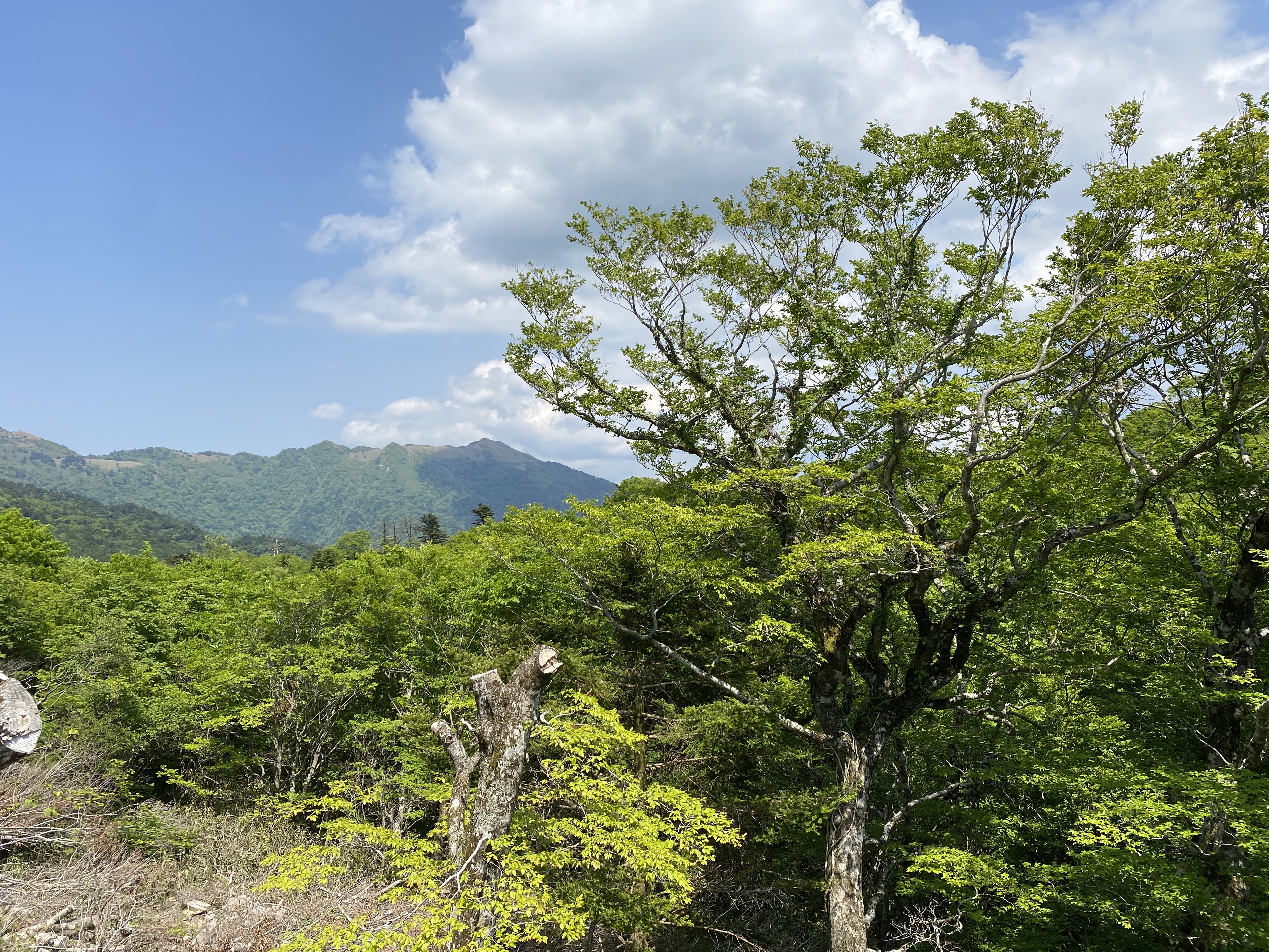 ★父の日★山荘しらさ　ペア宿泊券