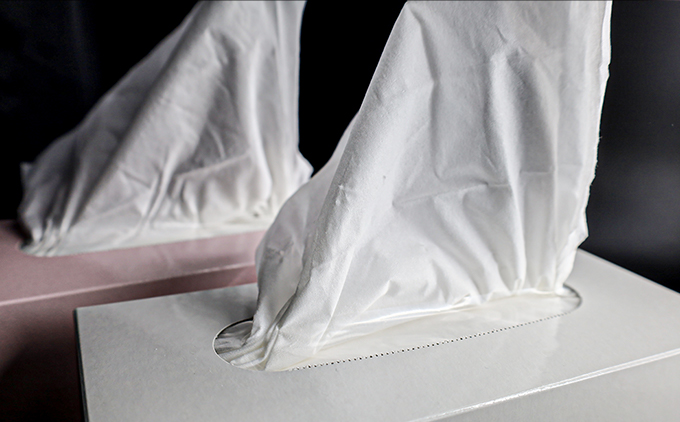 JAPANãã¬ãã¢ã ã»ãã(10ç®±Ã2 / é«å質BOXãã£ãã·ã¥ïŒ