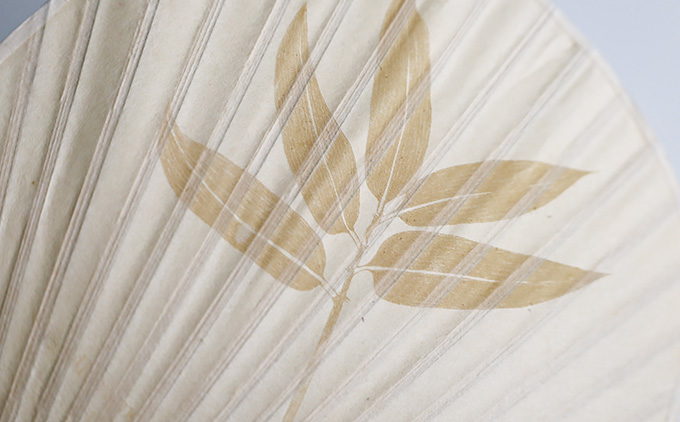 【紙漉きの技】土佐和紙うちわ＆はがきセット（すえこざさ)