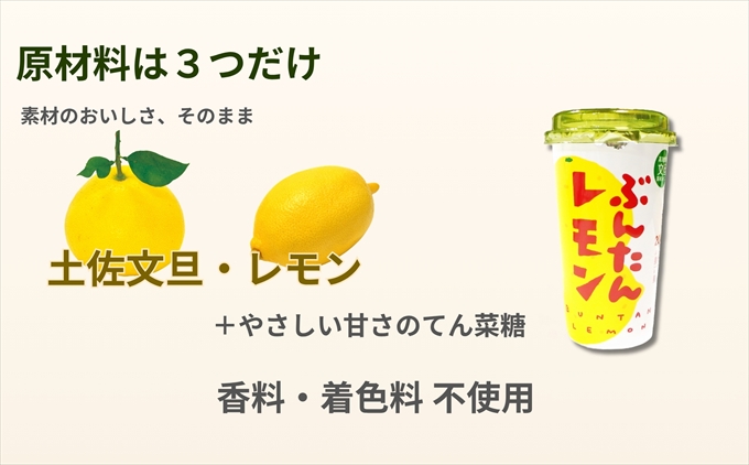 ぶんたんレモン　ストロータイプ　200ml　12本入り（高知アイス）
