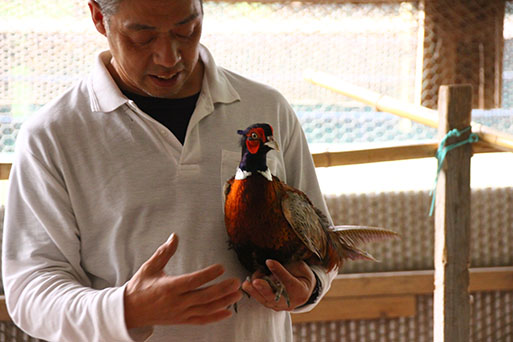 繝倥Ν繧キ繝シ縺ァ譌ィ縺ソ縺溘▲縺キ繧奇シ∵悽蟾晄焔邂ア縺阪§繧ウ繝ュ繝繧アシ茨シ托シ仙具シ