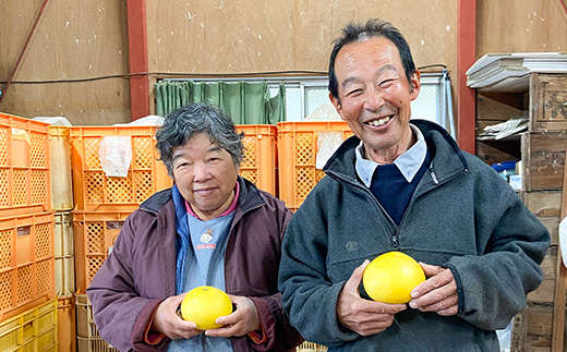 土佐文旦　家庭用2kg（池上果樹園）