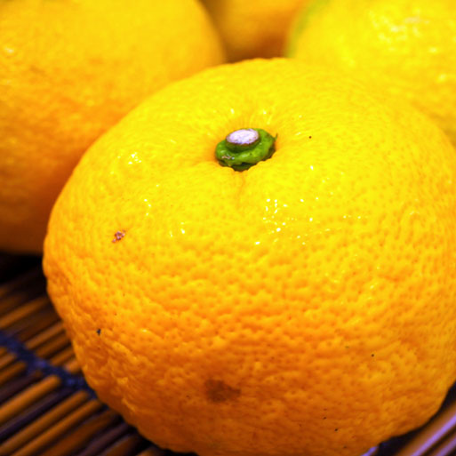 鬮倡衍繧「繧、繧ケ縺ョ辟。豺サ蜉繧縺壹ラ繝ェ繝ウ繧ッ縲悟ク碁育畑縲1Lテ6譛ャ