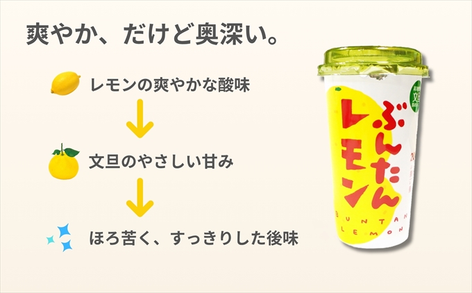 ぶんたんレモン　ストロータイプ　200ml　12本入り（高知アイス）