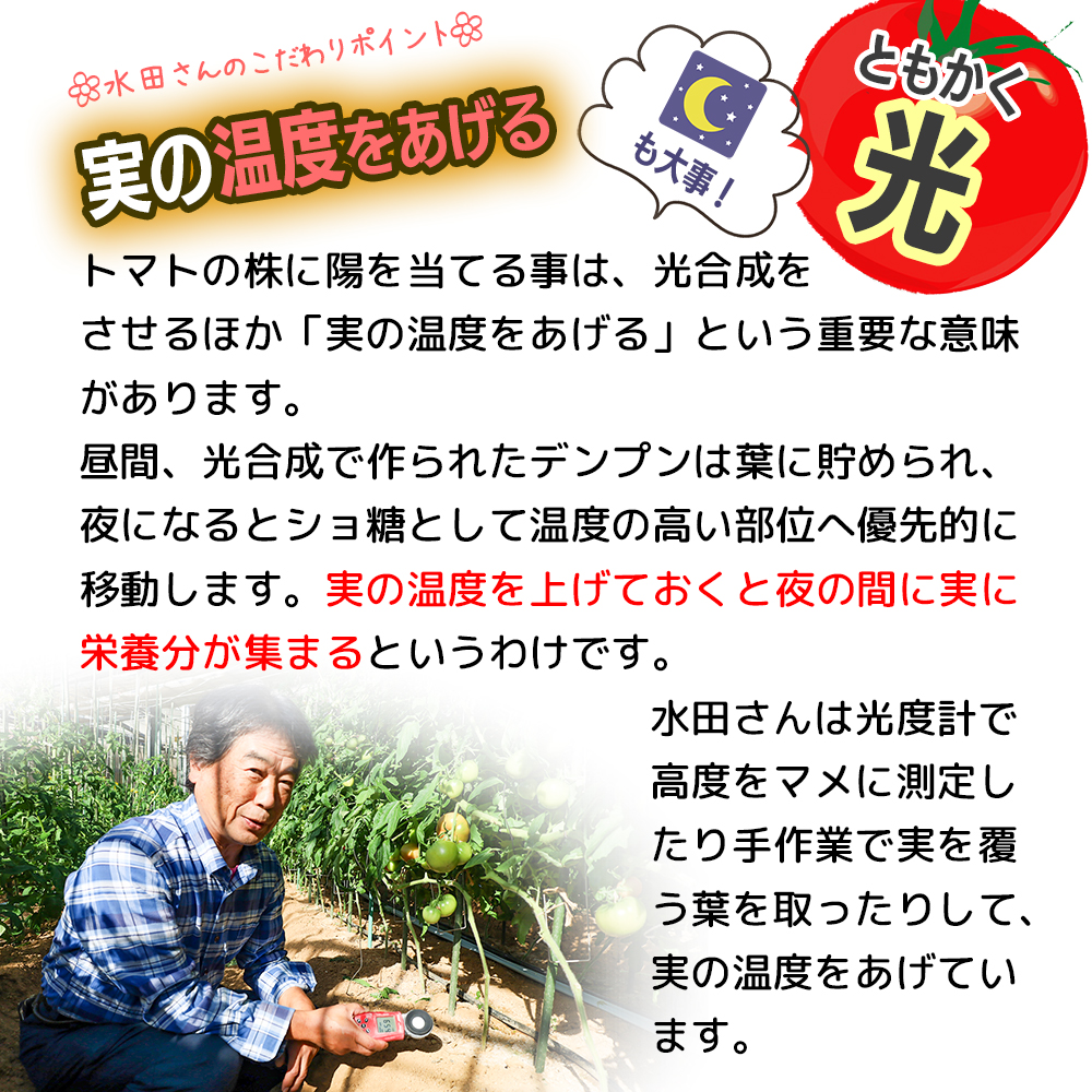 ãŸã£ããšããŸãïŒæ°Žç°ããã®ãã«ãŒãããããçŽïŒkgÃ2ç®± / åç²§ç®±å
¥ã