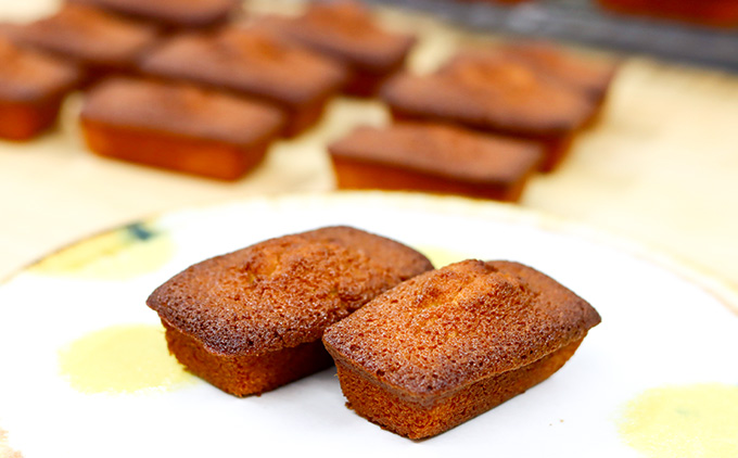 蝨滉ス舌ず繝ュ繝シ蜊オ縺ョ邀ウ邊峨ヵ繧」繝翫Φ繧キ繧ァシ茨シ募具シ