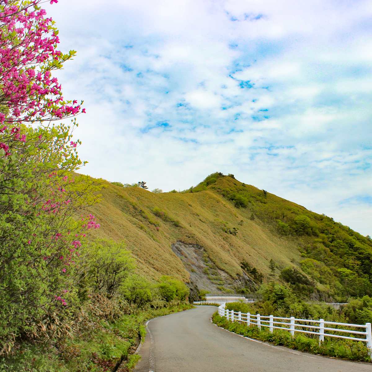 螻ア闕倥@繧峨&縲繝壹い螳ソ豕雁虻