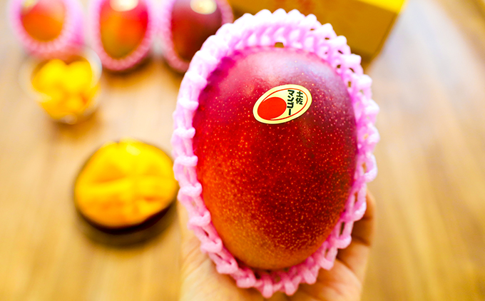 【父の日にお届け】かおる・とろける！土佐マンゴー(2〜5個)　