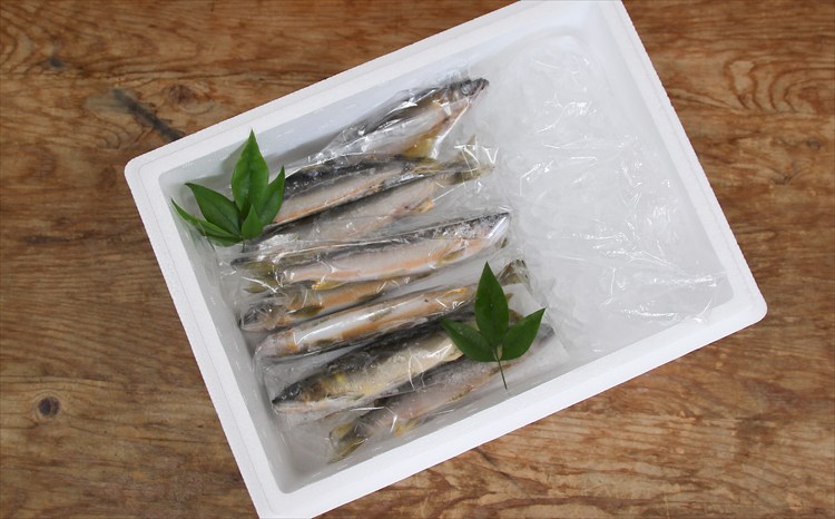 繝輔Ξ繝繧キ繝・繝槭シ繝医く繧キ繝「繝医&繧薙ョ螟ゥ辟カ魄趣シ亥キ蜃搾シ500g