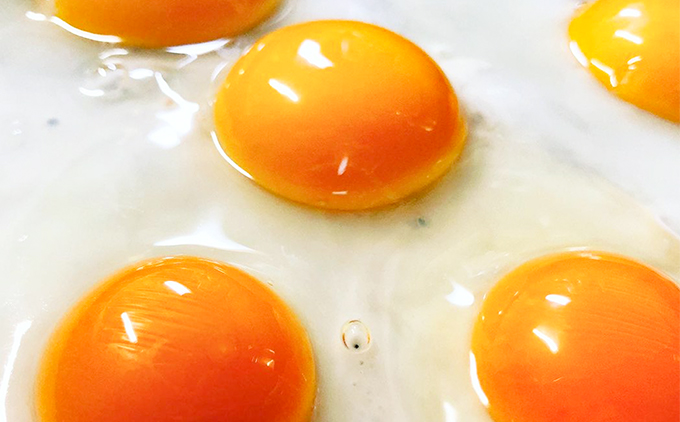 縲仙ョ壽悄萓ソ縲大悄菴舌ず繝ュ繝シ縺溘∪縺費シ12蛟句・シ嘉3蝗槭邏3騾ア髢捺ッ弱↓1蝗