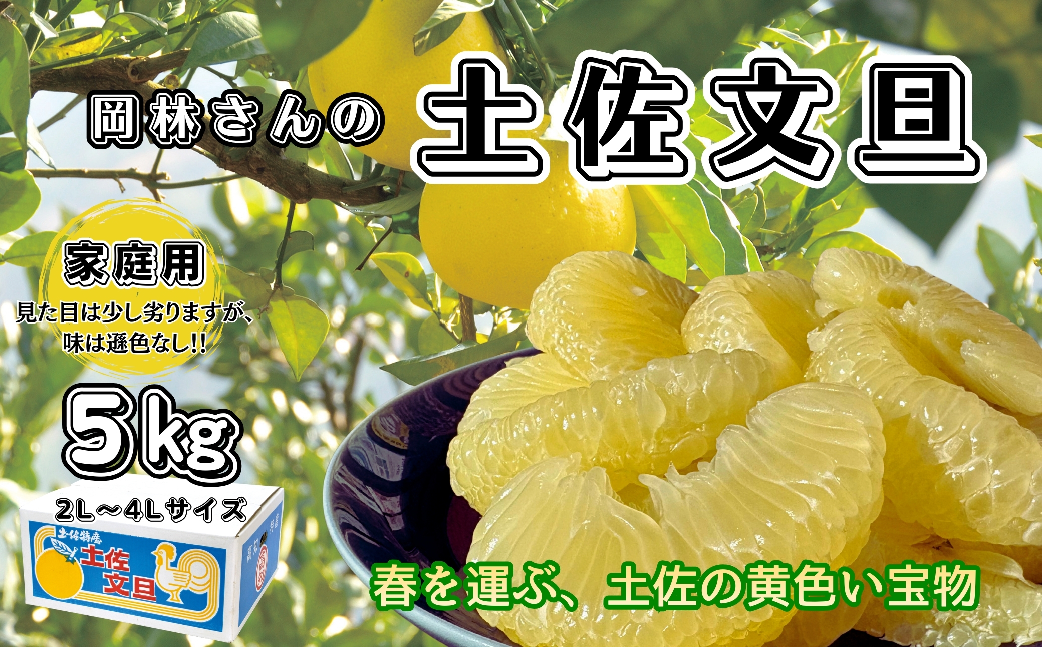 香る！さっぱり！岡林さんの土佐文旦　家庭用5kg