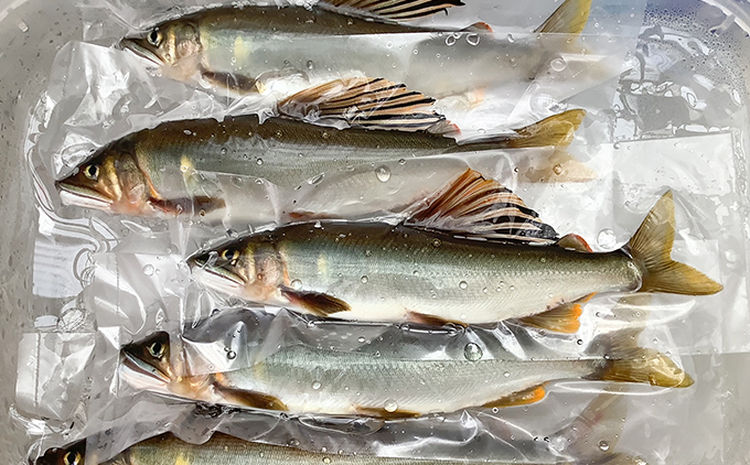 魄ョ蠎ヲ縺ォ縺薙□繧上jシ∽サ∵キ蟾晞ョ寂10蟆セス(蜀キ蜃1kg) 笘