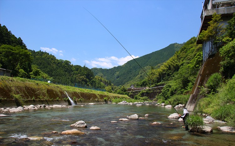 繝輔Ξ繝繧キ繝・繝槭シ繝医く繧キ繝「繝医&繧薙ョ螟ゥ辟カ魄趣シ亥キ蜃搾シ1kg
